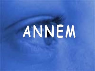 ANNEM 