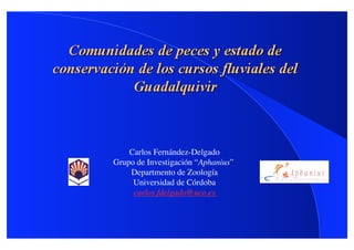 Carlos Fernández-Delgado  
Grupo de Investigación “Aphanius”
    Departmento de Zoología  
     Universidad de Córdoba
     carlos.fdelgado@uco.es
 
