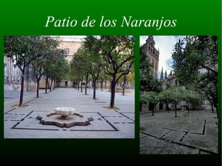 Patio de los Naranjos
 
