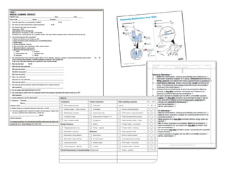 Hybrid Process Models | PDF