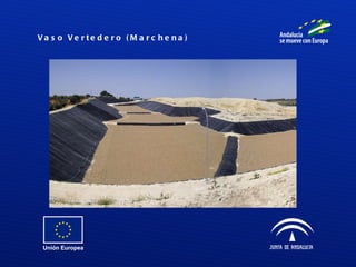 Vaso Vertedero (Marchena) 