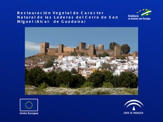 Restauración Vegetal de Carácter Natural de las Laderas del Cerro de San Miguel (Alcalá de Guadaíra) 