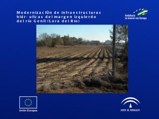 Modernización de infraestructuras hidráulicas del margen izquierdo del río Genil (Lora del Río) 