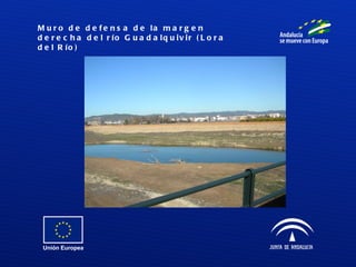 Muro de defensa de la margen derecha del río Guadalquivir (Lora del Río) 