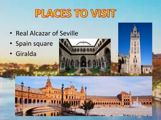 • Real Alcazar of Seville
• Spain square
• Giralda
 