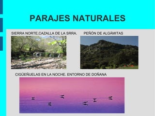 Imagen realizada por Luisa Roldán, imaginera del s.XVII 