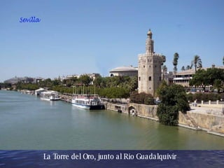 La Torre del Oro, junto al Rio Guadalquivir 