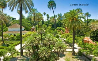 Gardens of Alcázar
 