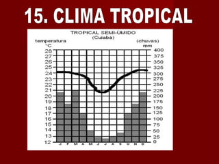 15. CLIMA TROPICAL 