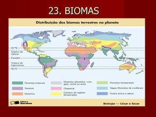 23. BIOMAS  