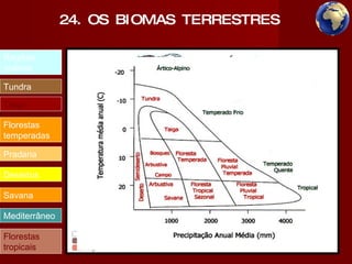 Regiões polares Tundra Taiga Florestas temperadas Pradaria  Desertos  Savana  Mediterrâneo  Florestas tropicais 24. OS BIOMAS TERRESTRES 
