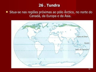 26 . Tundra Situa-se nas regiões próximas ao pólo Árctico, no norte do Canadá, da Europa e da Ásia.  