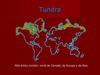 Tundra Pólo ártico (norte): norte do Canadá, da Europa e da Ásia. 