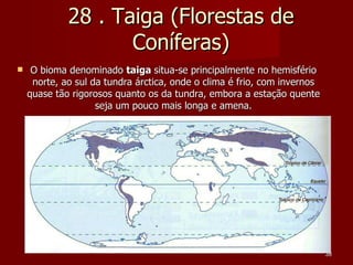 28 . Taiga (Florestas de Coníferas) O bioma denominado  taiga  situa-se principalmente no hemisfério norte, ao sul da tundra árctica, onde o clima é frio, com invernos quase tão rigorosos quanto os da tundra, embora a estação quente seja um pouco mais longa e amena. 