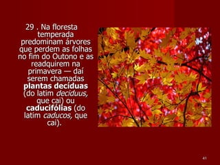 29 . Na floresta temperada predominam árvores que perdem as folhas no fim do Outono e as readquirem na primavera — daí serem chamadas  plantas decíduas  (do latim  deciduus,  que cai) ou  caducifólias  (do latim  caducos,  que cai).  