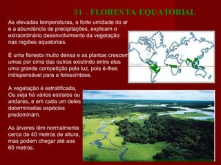 As elevadas temperaturas, a forte umidade do ar e a abundância de precipitações, explicam o extraordinário desenvolvimento da vegetação nas regiões equatoriais.  É uma floresta muito densa e as plantas crescem umas por cima das outras existindo entre elas uma grande competição pela luz, pois é-lhes indispensável para a fotossíntese. A vegetação é estratificada,  Ou seja há vários estratos ou  andares, e em cada um deles  determinadas espécies  predominam. As árvores têm normalmente  cerca de 40 metros de altura,  mas podem chegar até aos  60 metros. 31 . FLORESTA EQUATORIAL  www.geocities.com   
