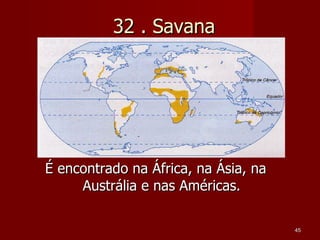 32 . Savana É encontrado na África, na Ásia, na Austrália e nas Américas. 