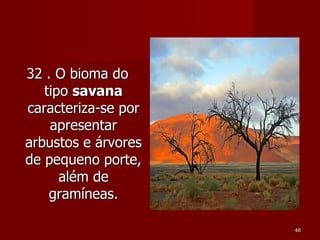 32 . O bioma do tipo  savana  caracteriza-se por apresentar arbustos e árvores de pequeno porte, além de gramíneas. 