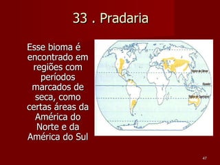 33 . Pradaria  Esse bioma é encontrado em regiões com períodos marcados de seca, como certas áreas da América do Norte e da América do Sul 