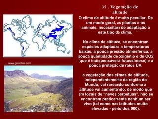 O clima de altitude é muito peculiar. De um modo geral, as plantas e os animais, necessitam de adaptação a este tipo de clima.  No clima de altitude, se encontram espécies adaptadas a temperaturas baixas, a pouca pressão atmosférica, a pouca quantidade de oxigênio e de CO2 (que é indispensável à fotossíntese) e a pouca proteção de raios UV. a vegetação dos climas de altitude, independentemente da região do Mundo, vai rareando conforma a altitude vai aumentando, de modo que em locais de "neves perpétuas", não se encontram praticamente nenhum ser vivo (tal como nas latitudes muito elevadas - perto dos 900). 35 . Vegetação de altitude www.geocities.com  