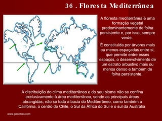 A floresta mediterrânea é uma formação vegetal predominantemente de folha persistente e, por isso, sempre verde.  É constituída por árvores mais ou menos espaçadas entre si, que permite entre esses espaços, o desenvolvimento de um estrato arbustivo mais ou menos denso e também de folha persistente.  36 . Floresta Mediterrânea A distribuição do clima mediterrâneo e do seu bioma não se confina exclusivamente à área mediterrânea, sendo as principais áreas abrangidas, não só toda a bacia do Mediterrâneo, como também a Califórnia, o centro do Chile, o Sul da África do Sul e o sul da Austrália  www.geocities.com  