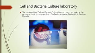 Cell and Bacteria Culture laboratory
The student visited Cell and Bacteria Culture laboratory and got to know the
process in detail from the professor Staffan Johansson at Biomedicinsk Centrum,
Uppsala.