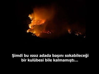 Şimdi bu ıssız adada başını sokabileceği bir kulübesi bile kalmamıştı…  