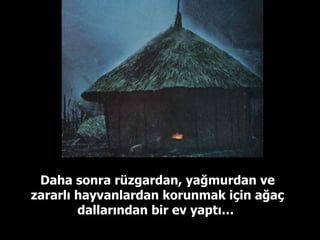 Daha sonra rüzgardan, yağmurdan ve zararlı hayvanlardan korunmak için ağaç dallarından bir ev yaptı…  