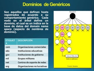 Servidor DNS | PPTX