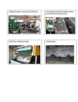 3. Sludge Treatment - Screw Press & Belt Press 4. The Thickener Partial Dry Sludge Continue
Into The Belt Press Or Screw Press
5. Belt Press - Biological Sludge 6. Final Product
 