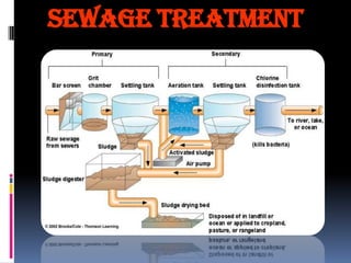 Sewage Treatment

 