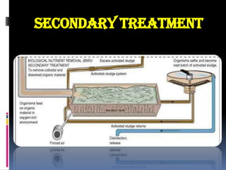 Secondary treatment

 
