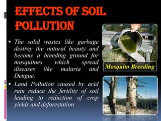 EFFECTS OF SOIL
POLLUTION
 The solid wastes like garbage
destroy the natural beauty and
become a breeding ground for
mosquitoes
which
spread
diseases like malaria and
Dengue.
 Land Pollution caused by acid
rain reduce the fertility of soil
leading to reduction of crop
yields and deforestation

Mosquito Breeding

 
