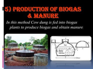 5) Production of Biogas
& Manure
In this method Cow dung is fed into biogas
plants to produce biogas and obtain manure.

 