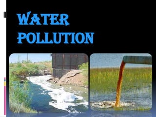 Water
pollution

 