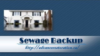 Sewage Backup