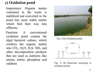 c) Oxidation pond
Importance: Organic matter
contained in the waste is
stabilized and converted in the
pond into more stable matter
which find their way into
effluents.
Function: A conventional
oxidation pond contain the
algal bacterial culture, which
oxidizes the organic matter
into CO2, H2O, H2S, NH3 and
other decomposition products
that are used as nutrients like
nitrate, nitrite, phosphate and
sulphate
11
Fig. 11(a) Oxidation pond.
Fig. 11 (b) Reactions occurring in
oxidation ponds.
 