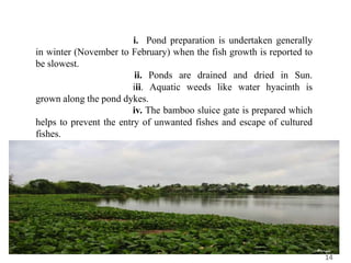 14
i. Pond preparation is undertaken generally
in winter (November to February) when the fish growth is reported to
be slowest.
ii. Ponds are drained and dried in Sun.
iii. Aquatic weeds like water hyacinth is
grown along the pond dykes.
iv. The bamboo sluice gate is prepared which
helps to prevent the entry of unwanted fishes and escape of cultured
fishes.
 