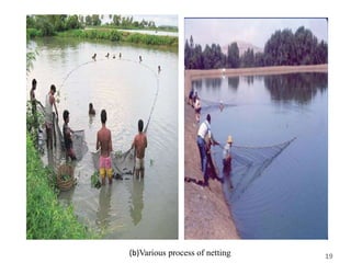 19(b)Various process of netting
 