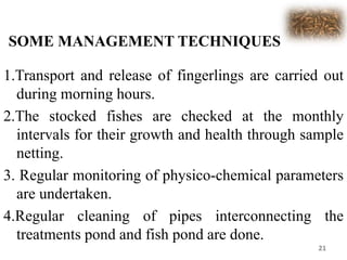 SOME MANAGEMENT TECHNIQUES
1.Transport and release of fingerlings are carried out
during morning hours.
2.The stocked fishes are checked at the monthly
intervals for their growth and health through sample
netting.
3. Regular monitoring of physico-chemical parameters
are undertaken.
4.Regular cleaning of pipes interconnecting the
treatments pond and fish pond are done.
21
 