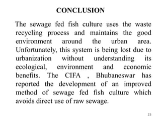 CONCLUSION
The sewage fed fish culture uses the waste
recycling process and maintains the good
environment around the urban area.
Unfortunately, this system is being lost due to
urbanization without understanding its
ecological, environment and economic
benefits. The CIFA , Bhubaneswar has
reported the development of an improved
method of sewage fed fish culture which
avoids direct use of raw sewage.
23
 