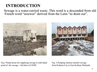 Sewage is a water-carried waste. This word is a descended from old
French word “assewer” derived from the Latin “to drain out”.
3
Fig.1 Pump house for supplying sewage to individual
pond of the sewage – fed farm of CIFRI.
Fig. 2 Pumping stations transfer sewage
from Kolkata City to East Kolkata Wetlands.
INTRODUCTION
 