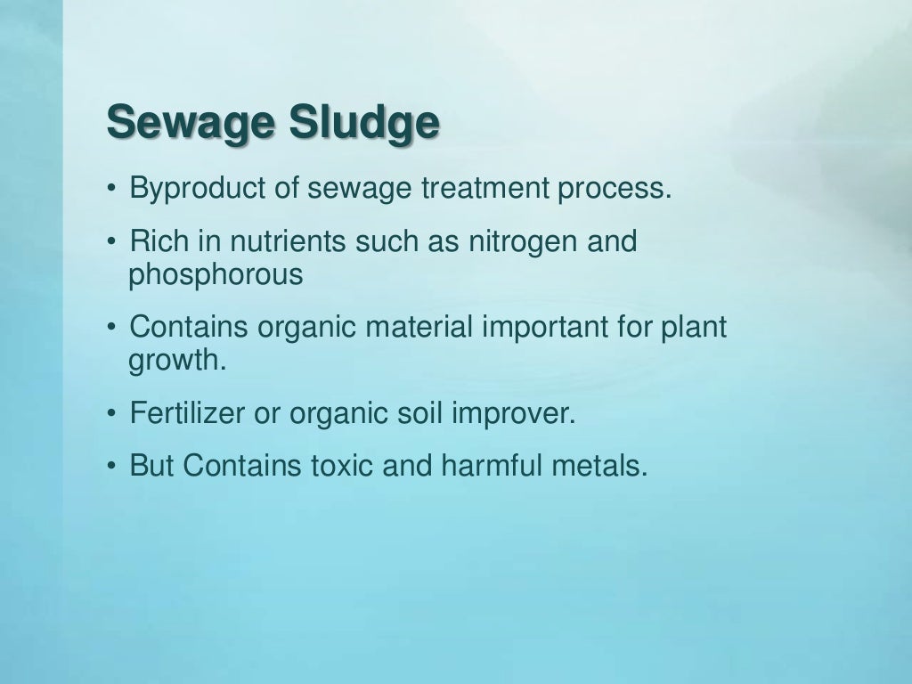 Sewage sludge