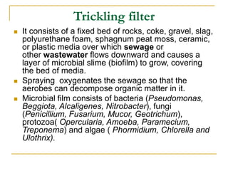 Trickling filter
 It consists of a fixed bed of rocks, coke, gravel, slag,
polyurethane foam, sphagnum peat moss, ceramic,
or plastic media over which sewage or
other wastewater flows downward and causes a
layer of microbial slime (biofilm) to grow, covering
the bed of media.
 Spraying oxygenates the sewage so that the
aerobes can decompose organic matter in it.
 Microbial film consists of bacteria (Pseudomonas,
Beggiota, Alcaligenes, Nitrobacter), fungi
(Penicillium, Fusarium, Mucor, Geotrichum),
protozoa( Opercularia, Amoeba, Paramecium,
Treponema) and algae ( Phormidium, Chlorella and
Ulothrix).
 