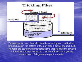Sewage wastes are channeled into the revolving arm and trickles
through holes in the bottom of the arm onto a gravel and rock bed.
The rocks are coated with microorganisms that stabilize the sewage
as it trickles through the bed so that the effluent has a greatly
reduced load of degradable organic material.
 