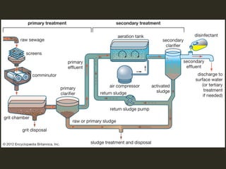 Sewage Treatment and a case study of treatment plant | PDF