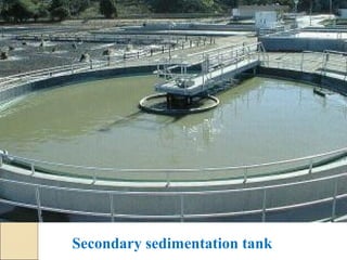 Secondary sedimentation tank
 