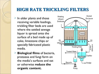 HIGH RATE TRICKLING FILTERS
HIGH RATE TRICKLING FILTERS
 In older plants and those
receiving variable loadings,
trickling filter beds are used
where the settled sewage
liquor is spread onto the
surface of a bed made up of
coke, limestone chips or
specially fabricated plastic
media.
 Biological films of bacteria,
protozoa and fungi form on
the media’s surfaces and eat
or otherwise reduce the
organic content.
 