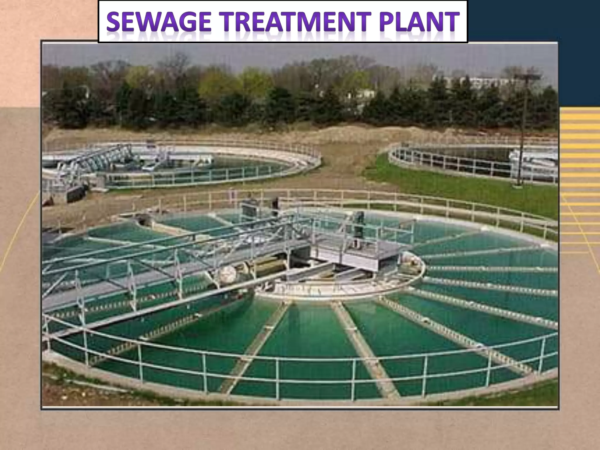 Sewage Treatment Plant.pptx