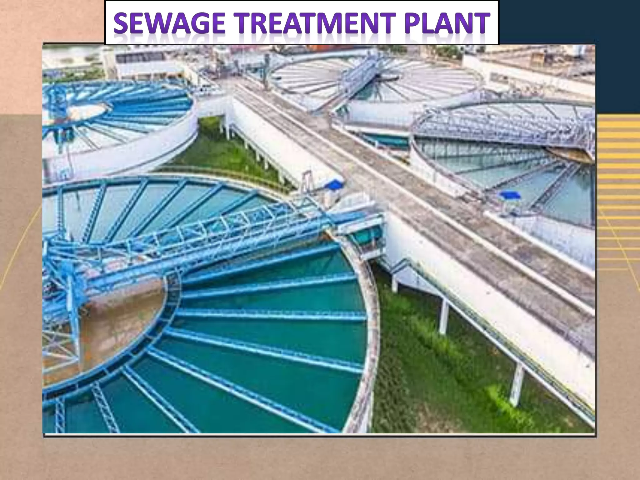 Sewage Treatment Plant.pptx